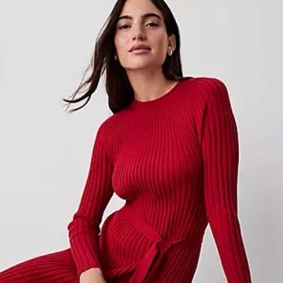 Ann Taylor Dresses & Skirts - ANN TAYLOR Ribbed Belted Column Sweater Dress in Gingham